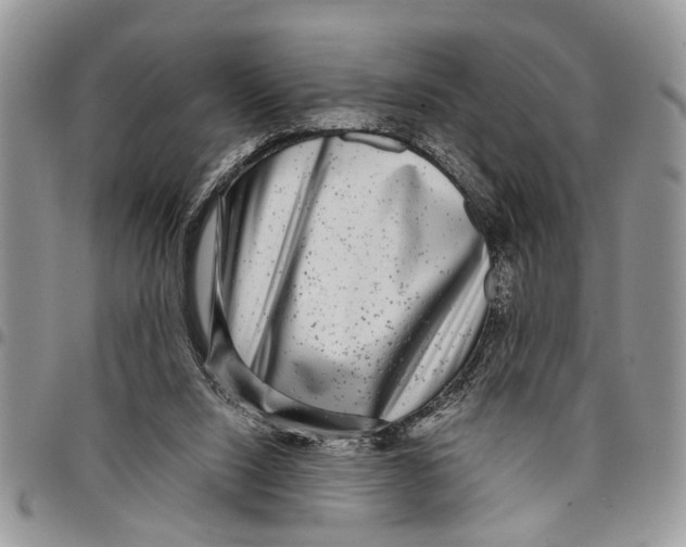 X0000097780064200803281711