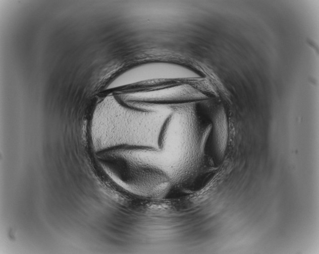 X0000097780066200803281711