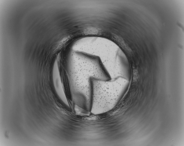 X0000097780068200803281711