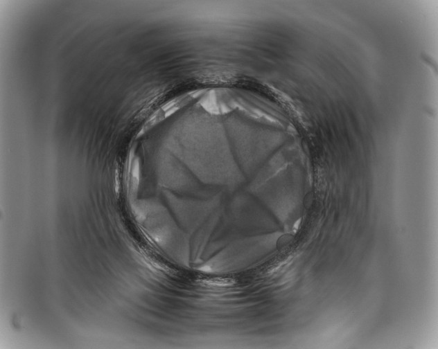 X0000097780069200803281711