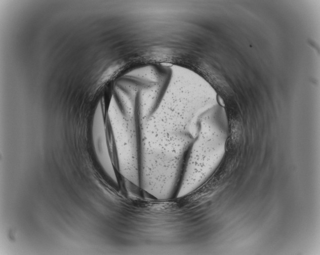 X0000097780072200803281711