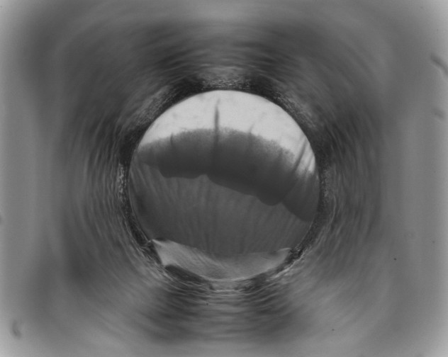 X0000097780073200803281711