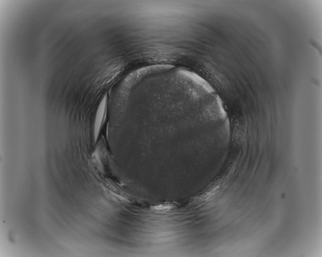 X0000097780076200803281711