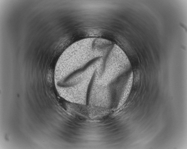 X0000097780078200803281711