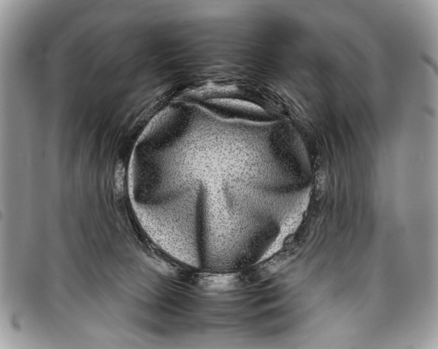 X0000097780081200803281711