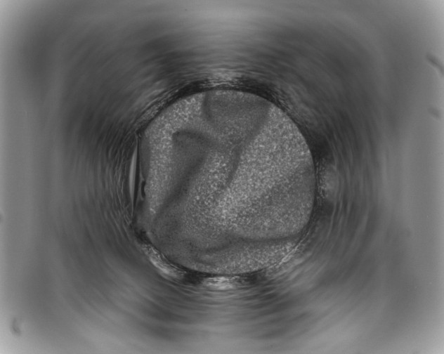 X0000097780082200803281711