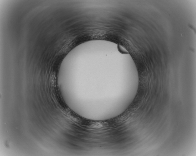 X0000097780083200803281711