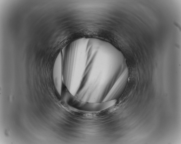 X0000097780084200803281711