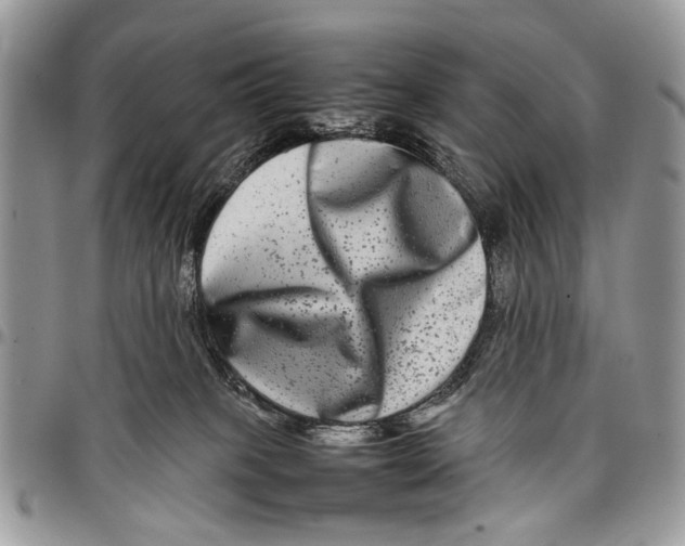 X0000097780085200803281711