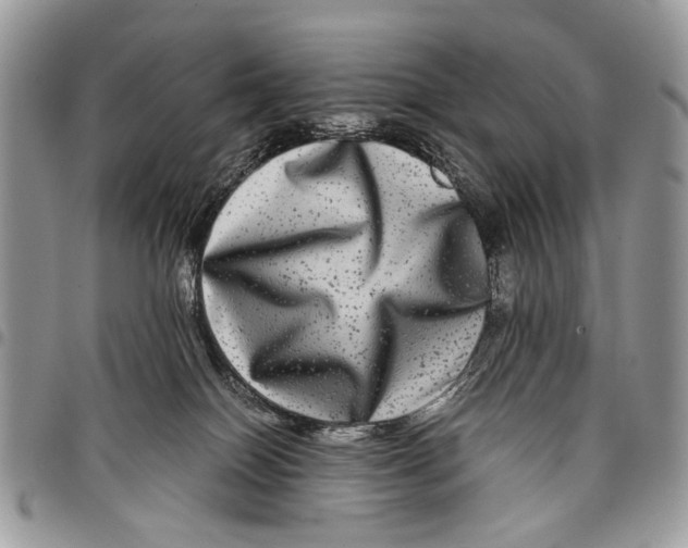 X0000097780086200803281711