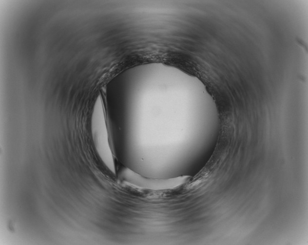 X0000097780088200803281711