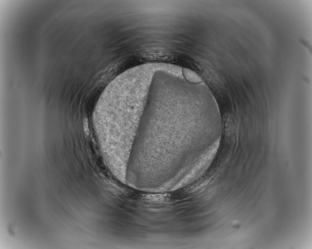 X0000097780089200803281711