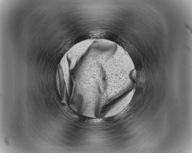 X0000097780090200803281711