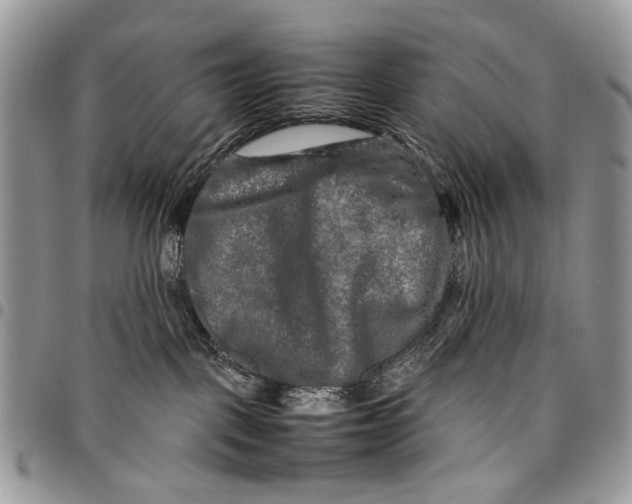 X0000097780093200803281711