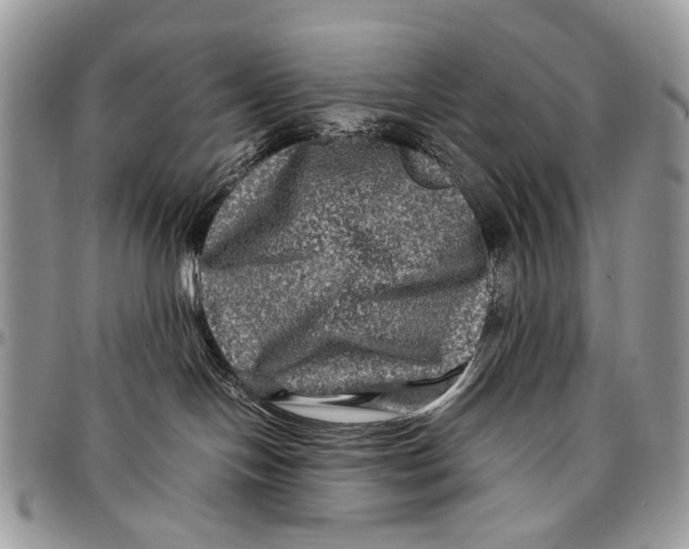 X0000097780094200803281711