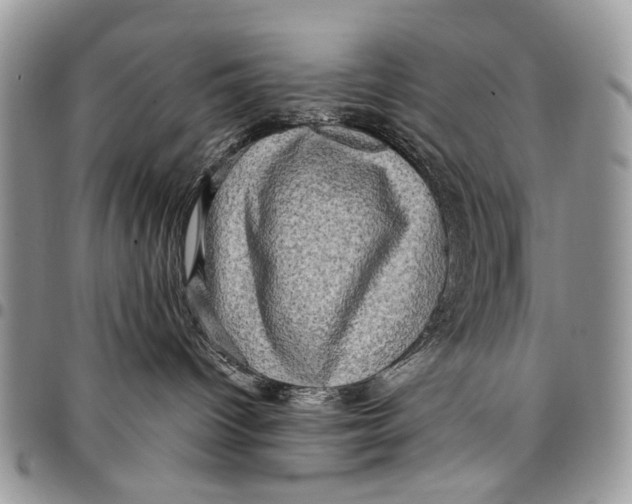 X0000097780096200803281711