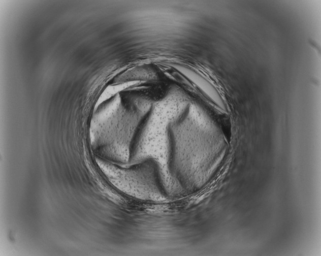 X0000097780097200803281710