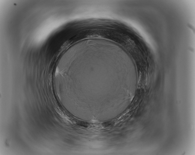 X0000097780099200803281710