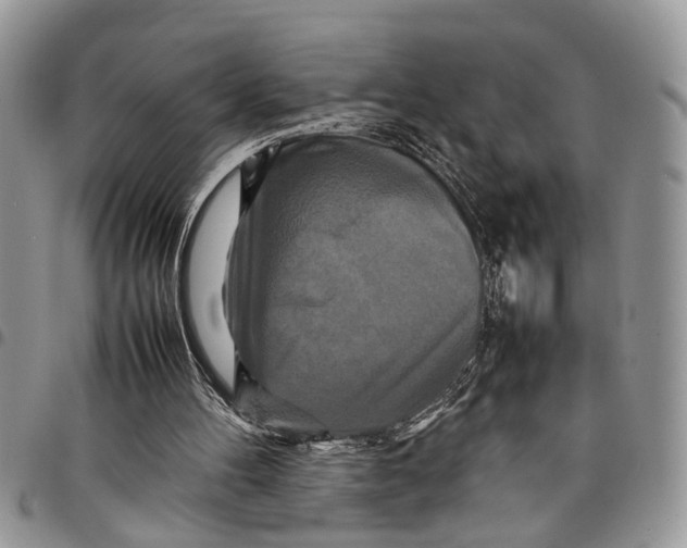 X0000097780100200803281710