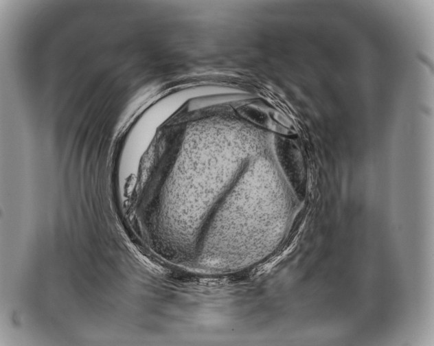 X0000097780101200803281710