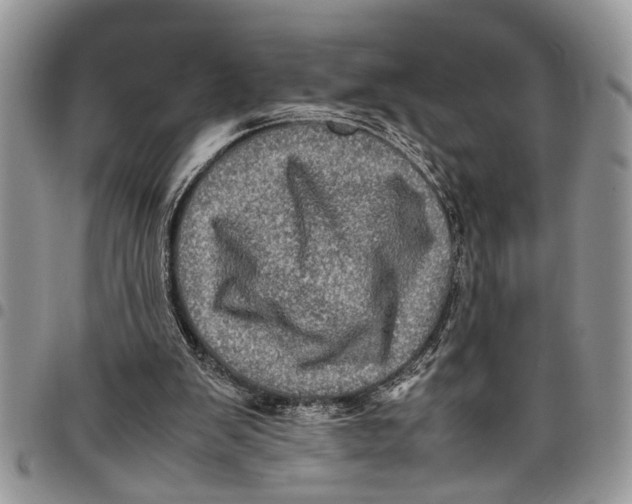 X0000097780103200803281710