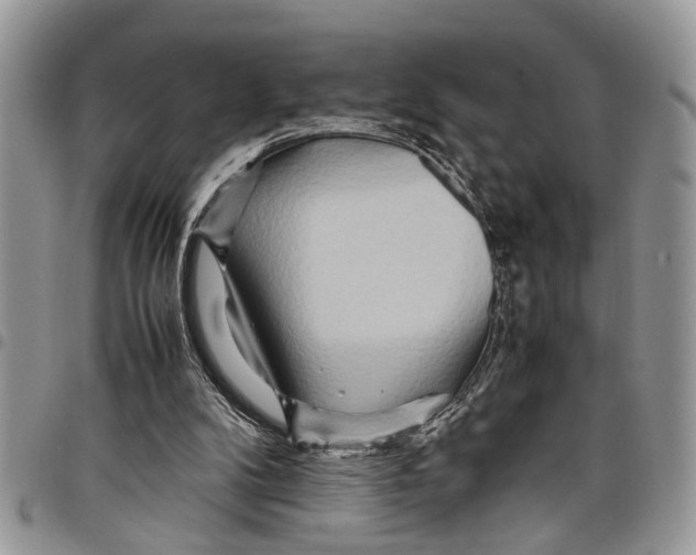 X0000097780104200803281710