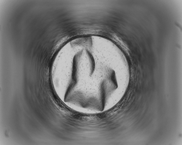 X0000097780107200803281710