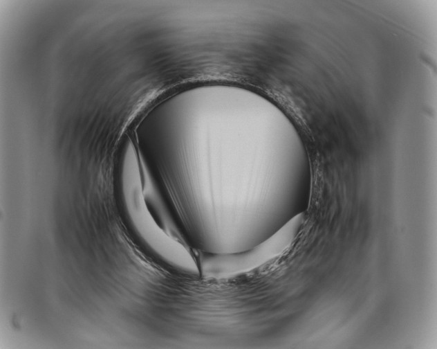 X0000097780108200803281710