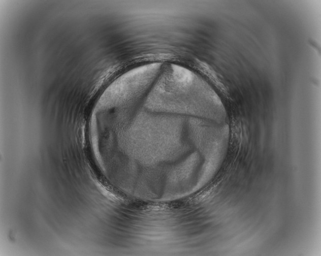 X0000097780110200803281710