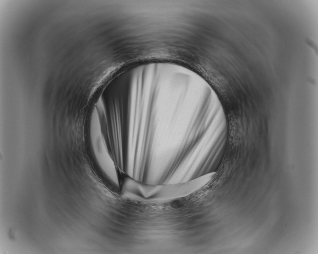 X0000097780112200803281710