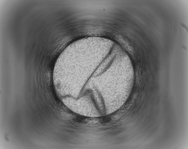 X0000097780113200803281710