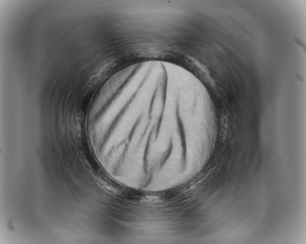 X0000097780114200803281710