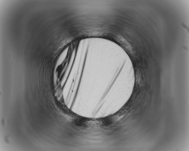 X0000097780115200803281710