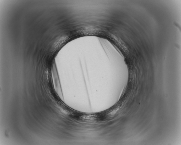 X0000097780117200803281710