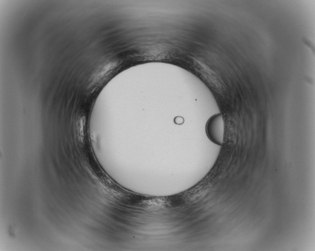 X0000097780118200803281710