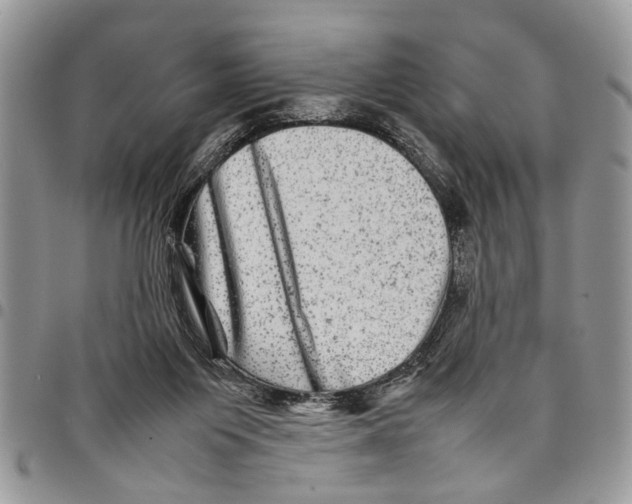 X0000097780119200803281710