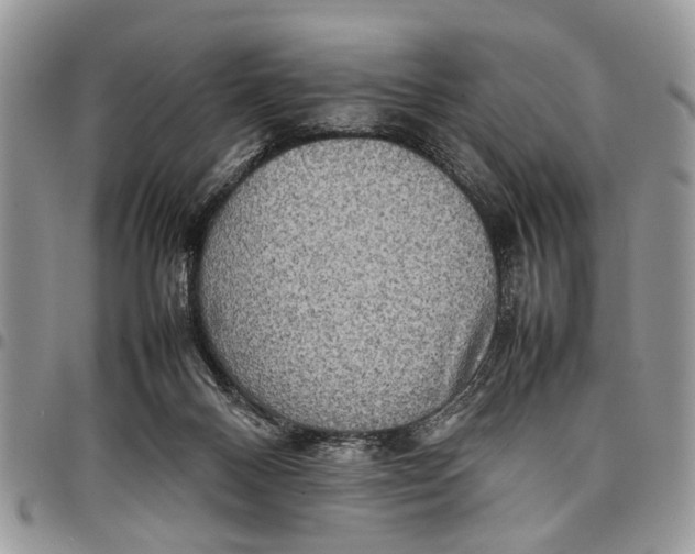 X0000097780120200803281710