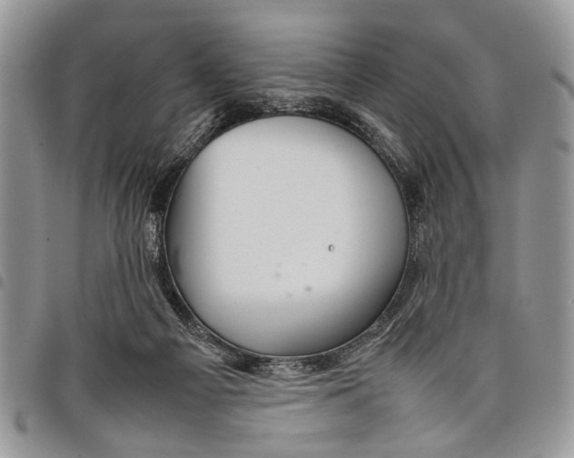 X0000097780121200803281710