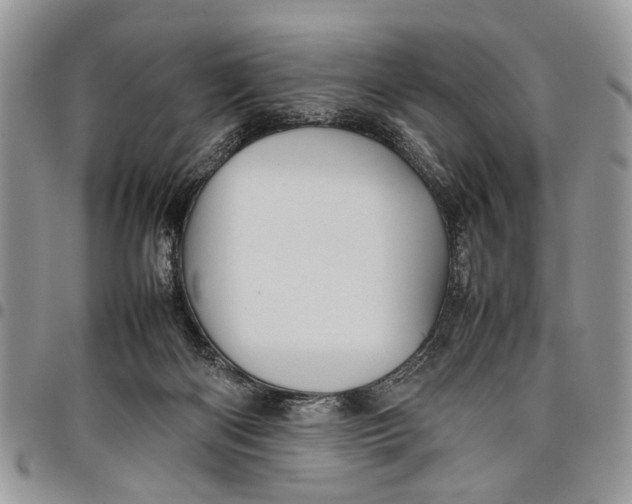 X0000097780122200803281710