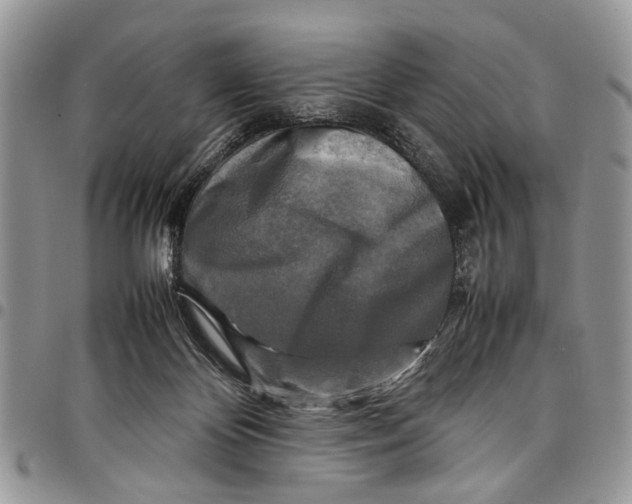 X0000097780124200803281710