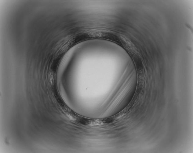 X0000097780125200803281710