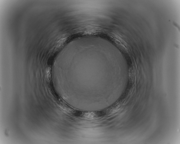 X0000097780127200803281710