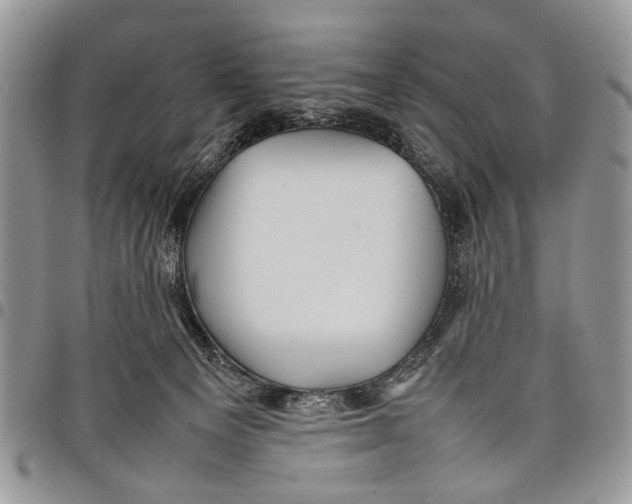 X0000097780129200803281710