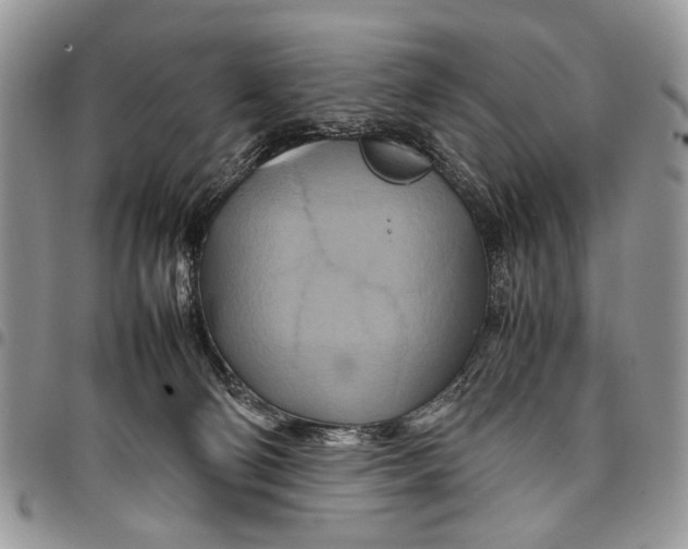 X0000097780130200803281710