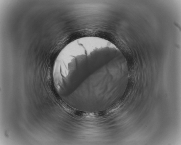 X0000097780131200803281710