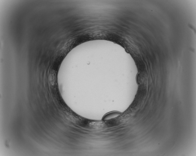 X0000097780133200803281710