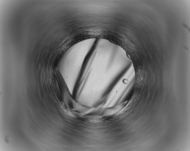 X0000097780136200803281710