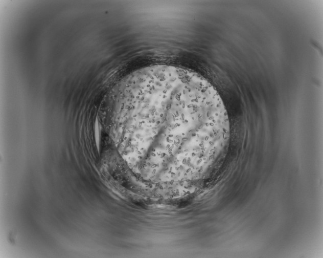 X0000097780137200803281710