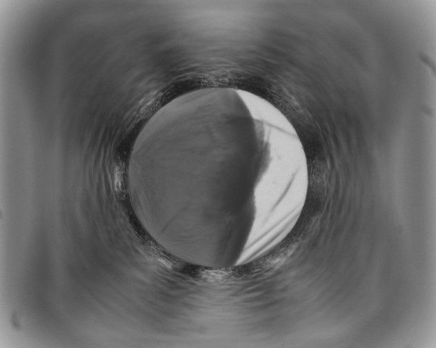 X0000097780139200803281710