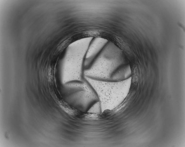 X0000097780140200803281710